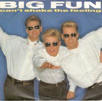 Big Fun  --  Can`t shake the feeling  Single7